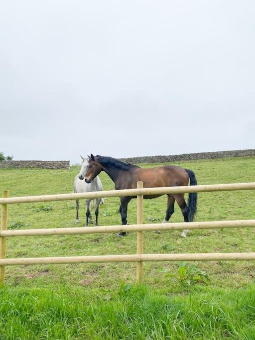 Luxury Detached Peak District Stone Barn - Dog Friendly Villa Hazelwood Ngoại thất bức ảnh