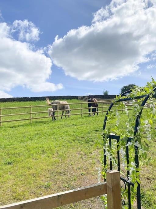 Luxury Detached Peak District Stone Barn - Dog Friendly Villa Hazelwood Ngoại thất bức ảnh